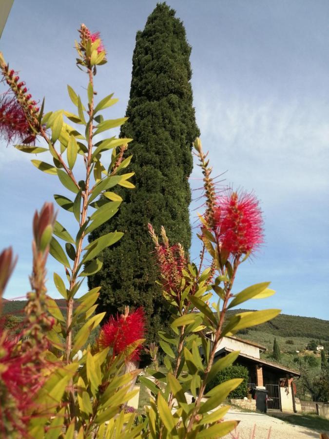 柏芝Borgo Buciardella别墅 外观 照片