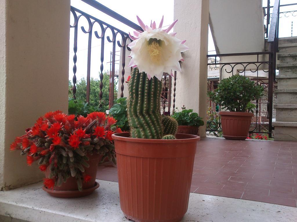 柏芝Borgo Buciardella别墅 外观 照片