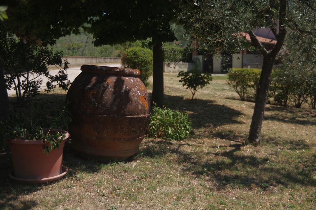 柏芝Borgo Buciardella别墅 外观 照片